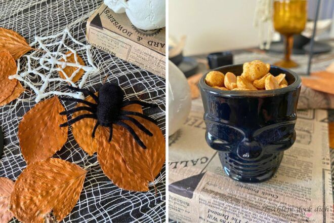 Spinne auf Herbstlaub und Nüsse im Totenkopf Pinnchen
